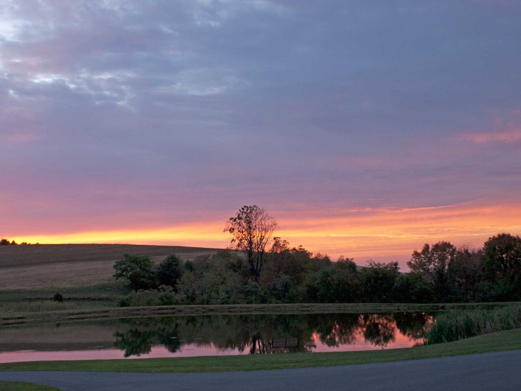 Great Companions facility at dawn.