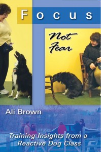 Cover image of the book, Focus Not Fear