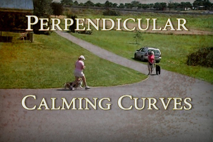 From Reactive Dog Classes DVD -- example from Perpendicular Calming Curves