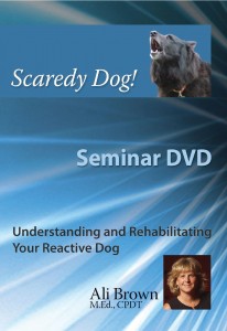 Cover of the Scaredy Dog! Seminar DVD