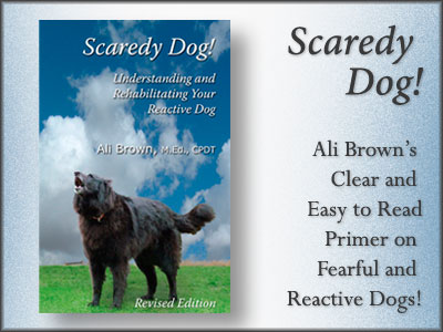 Scaredy Dog  Understanding and Rehabilitating Your Reactive Dog