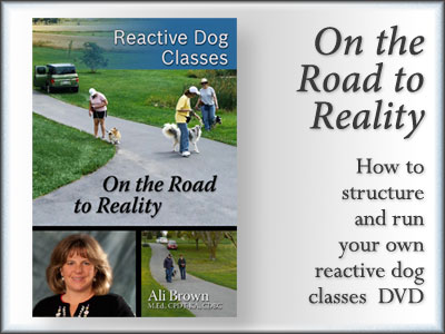 Reactive Dog Classes -- On the Road to Reality