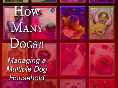 How Many Dogs?! book by Debby McMullen