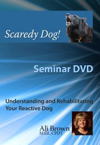 Scaredy Dog Seminar DVD Cover