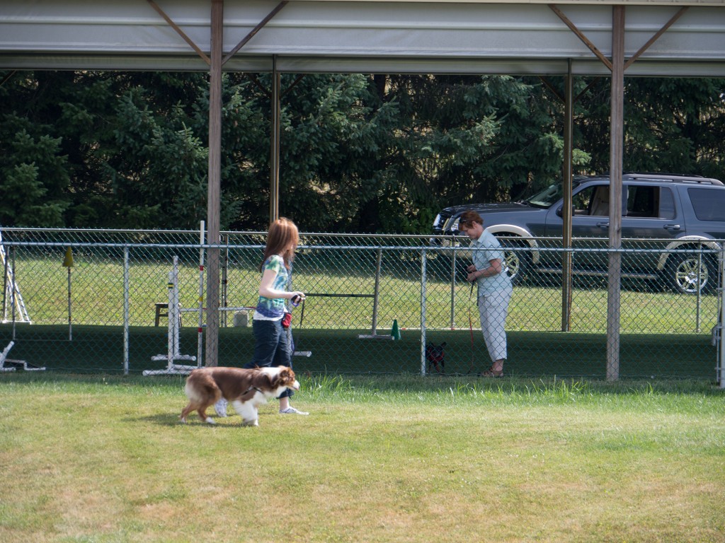 Nina and Devlin have switched positions and are working outside the pavilion, and Joyce and Lexi are inside.