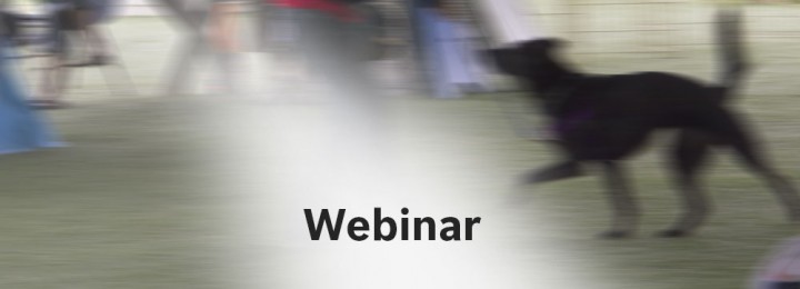 Sign up for Ali Brown's Webinar on Evaluation of Reactive Dogs