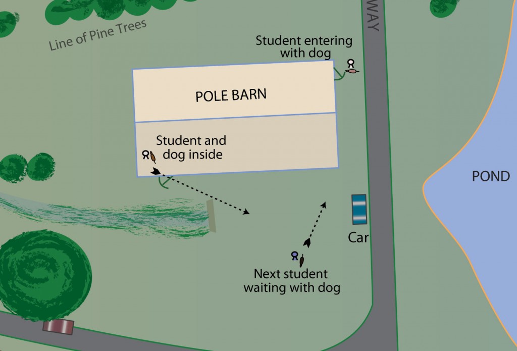 Illustration of the three dog/handler teams as they transition from one location to another in this reactive dog exercise.