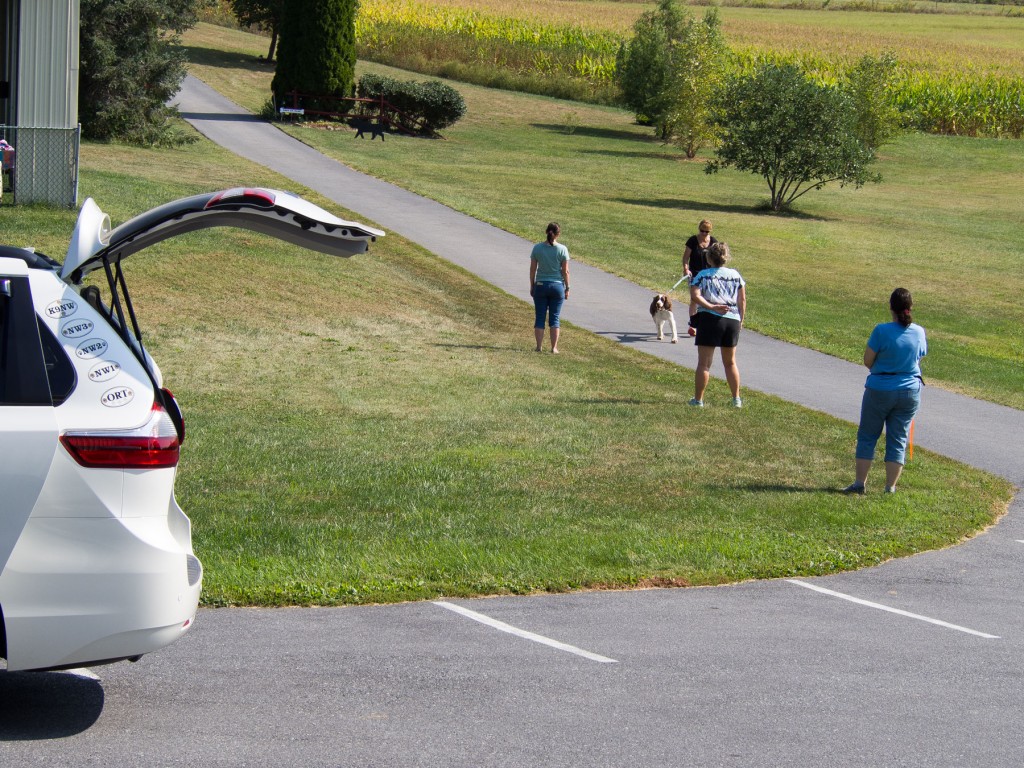 This is a broader view of the exercise. You can see that he really wants to get to Sharon (because she has goodies!)