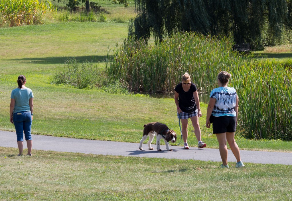 Chopper is eating a treat and searching for another one on the ground. Notice that all the people are standing sideways to him, but not avoiding eye contact. The people also talk to him, saying hi, and then tossing treats.