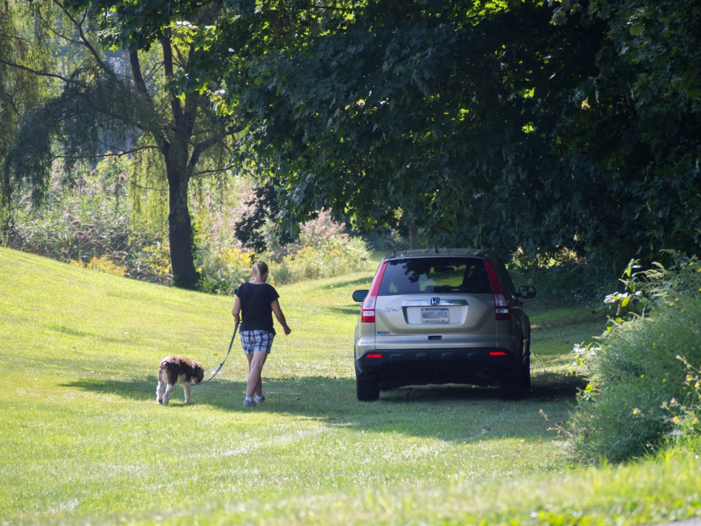 After lots of hard work and lots of treats, Chopper goes back to his car in the shade for a well-earned rest.