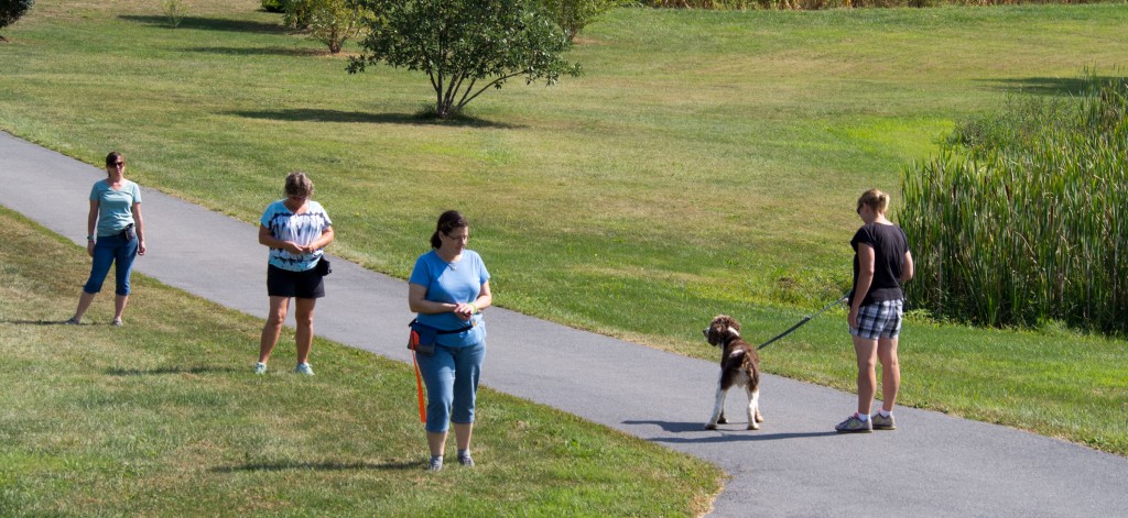 Chopper wants to move forward to the next person for more treats, but Donna is holding back.