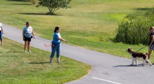 Jane, Ali and Sharon tossing treats to Chopper as he walks by, so he sees that good things come from people. But he has to check in with Donna for rewards before moving on to the next person