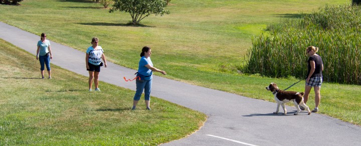 Jane, Ali and Sharon tossing treats to Chopper as he walks by, so he sees that good things come from people. But he has to check in with Donna for rewards before moving on to the next person